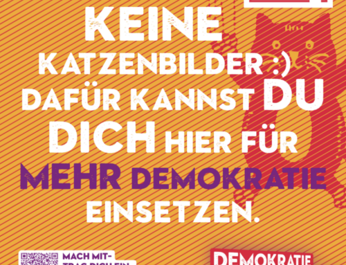 Unsere Angebote zu den Landtagswahlen 2026 – Gemeinsam mehr bewegen!